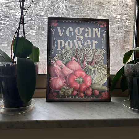 酒店 Lukas Vegetarian & Vegan 维亚雷焦