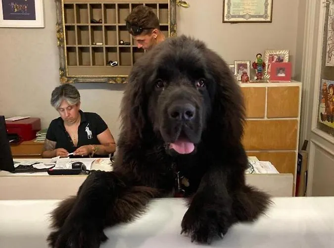 Lukas Vegetarian & Vegan