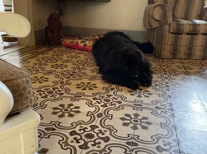 Lukas Vegetarian & Vegan 3*