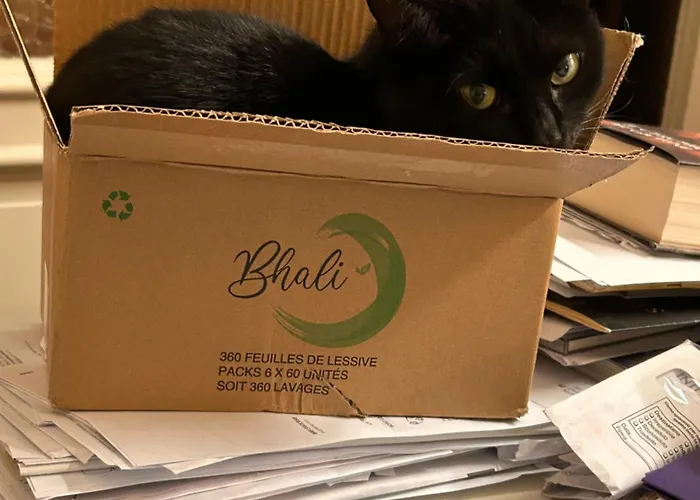 Готель Lukas Vegetarian & Vegan 3*