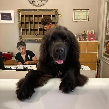 Lukas Vegetarian & Vegan