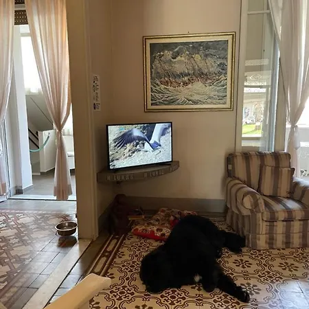 Lukas Vegetarian & Vegan