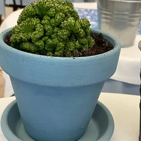 Lukas Vegetarian & Vegan Отель 3*