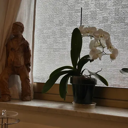 Lukas Vegetarian & Vegan Hotel