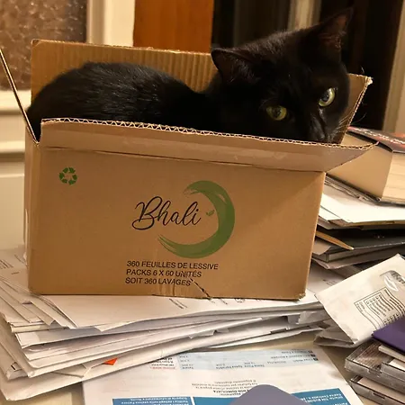 Otel Lukas Vegetarian & Vegan 3*