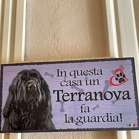 Lukas Vegetarian & Vegan Hotel Viareggio