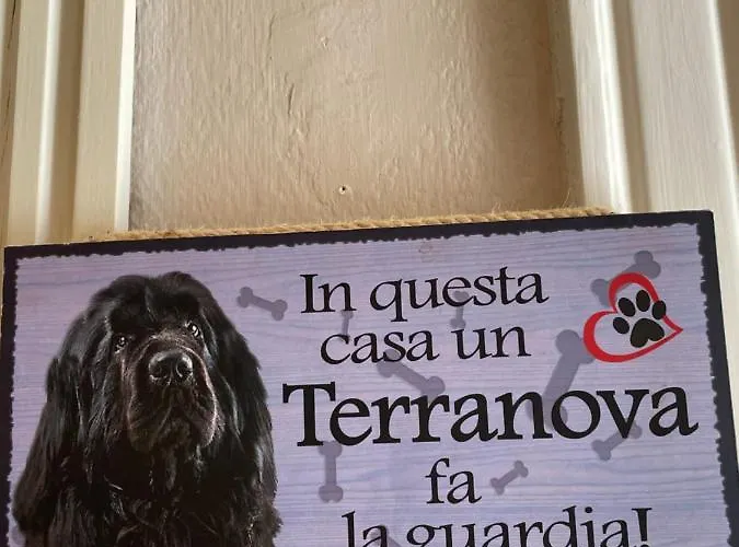 Lukas Vegetarian & Vegan Viareggio