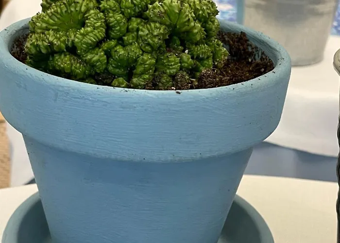 Lukas Vegetarian & Vegan Ξενοδοχείο 3*