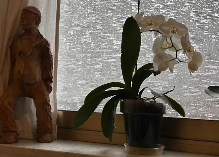 Lukas Vegetarian & Vegan Ξενοδοχείο